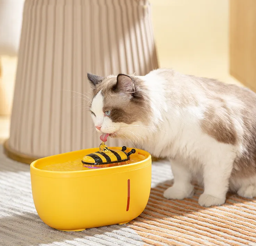 Fontana automatica per gatti